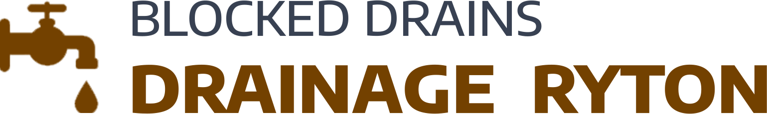 website logo